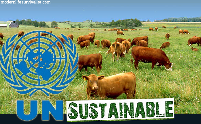 unsustainable united nations cows grass fed pasteur 